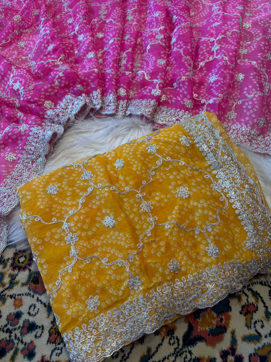 Pitta jaal work saree