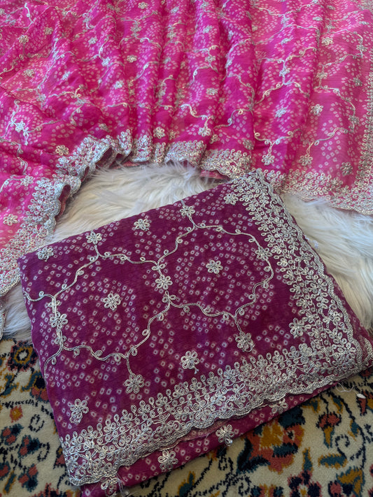 Pitta jaal work saree