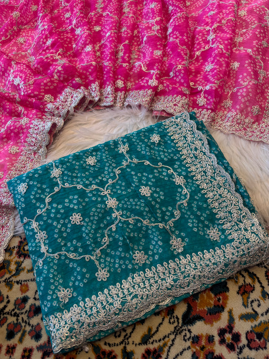 Pitta jaal work saree