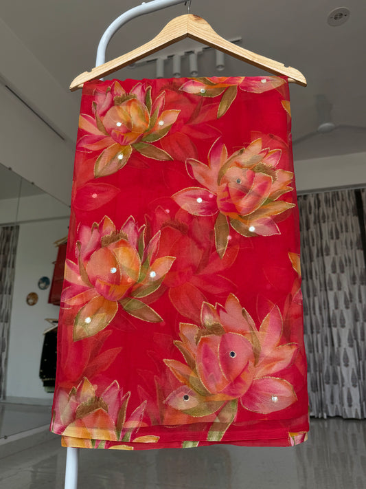 Mirror work saree