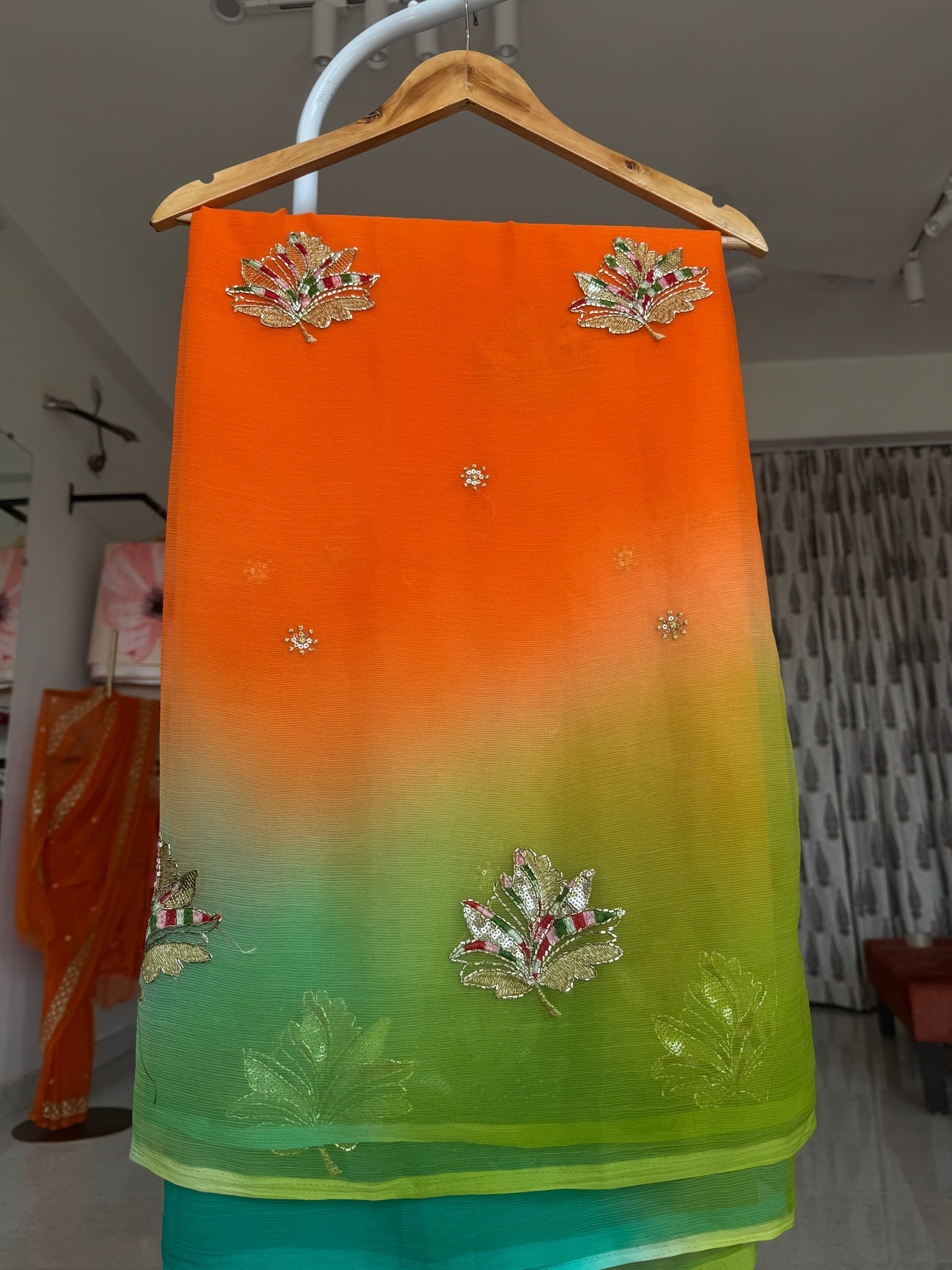 Multi colour saree with handwork