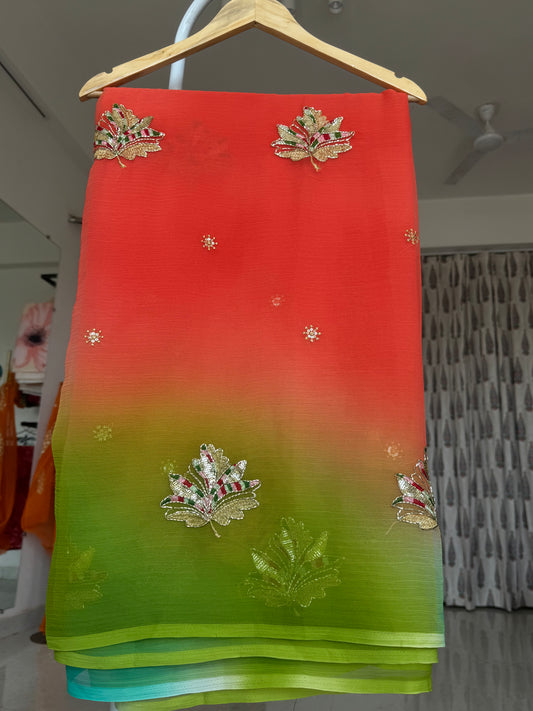 Multi colour saree with handwork