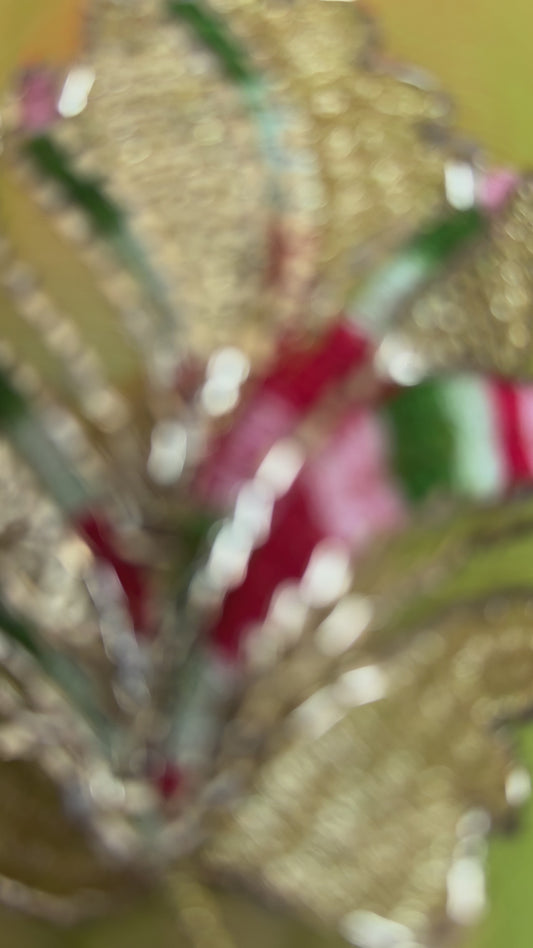 Multi colour saree with handwork