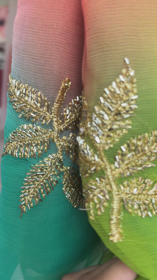 Multi colour saree with handwork