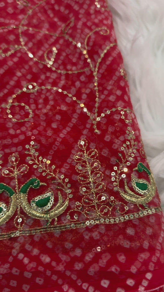 Aari sitara jaal work bandhani