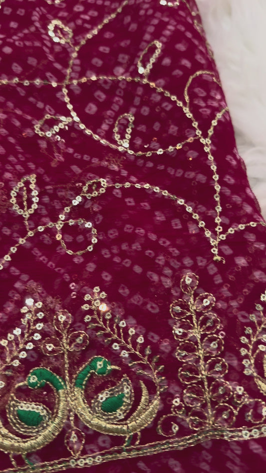 Aari sitara jaal work bandhani