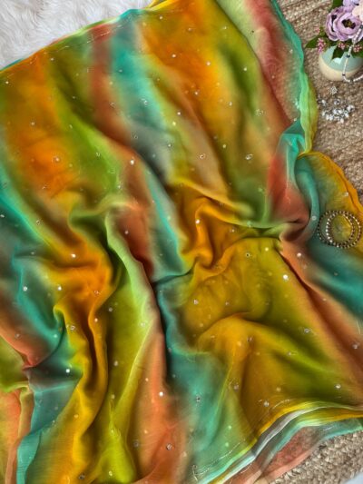 Multicolour saree with mirror work