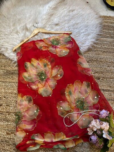 Aari sitara with mirror