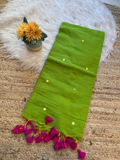 Hand stitched mirror work saree