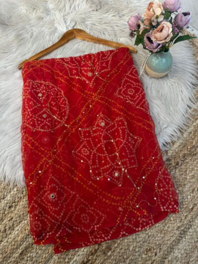 Chunri with mirror aari work