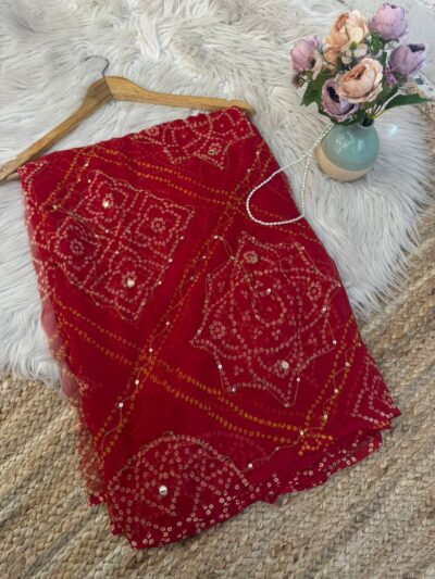 Chunri with mirror aari work