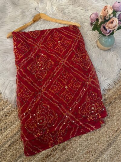 Chunri with mirror aari work