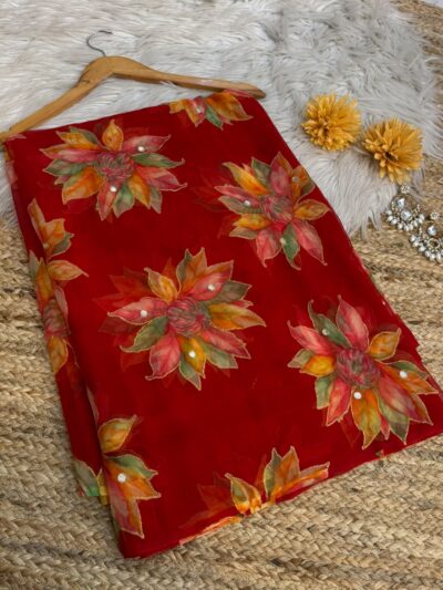 Mirror work saree
