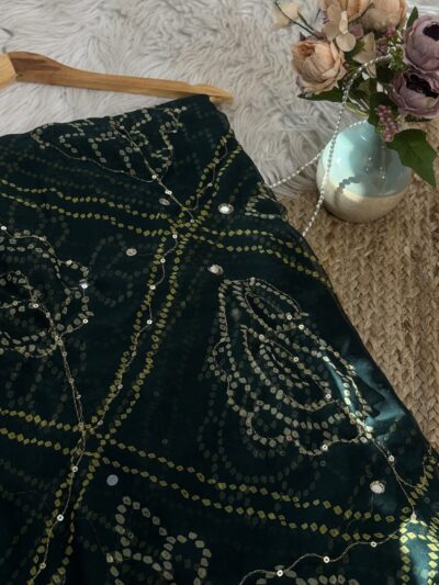 Aari sitara work saree