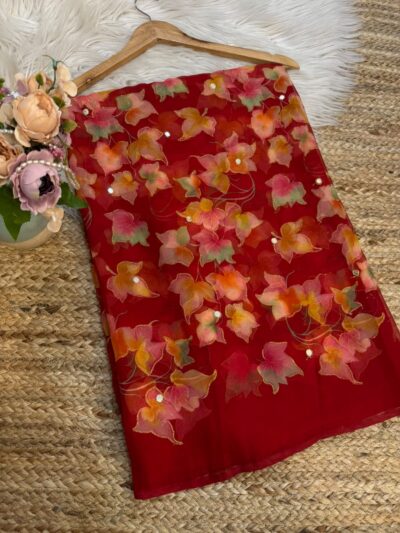 Mirror work saree
