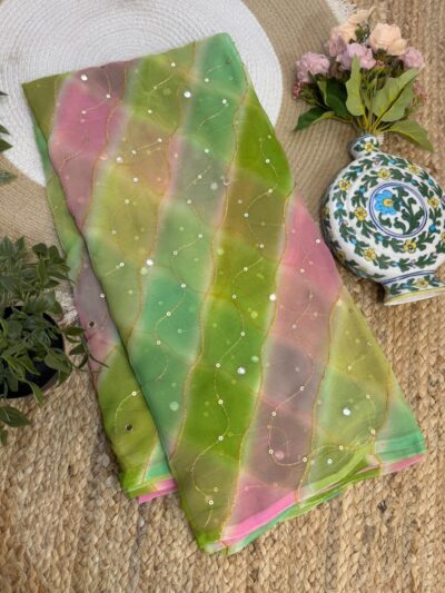 Aari mirror leheriya Multicolor