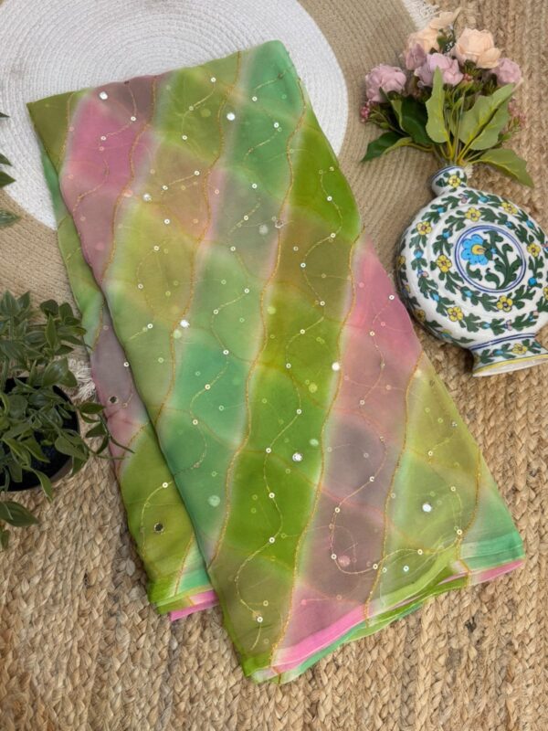 Aari mirror leheriya Multicolor