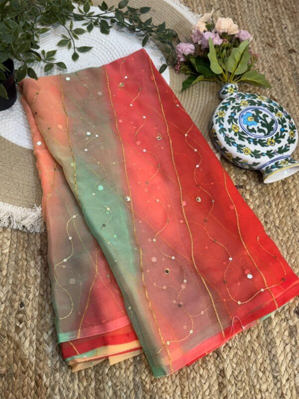 Aari mirror leheriya Multicolor