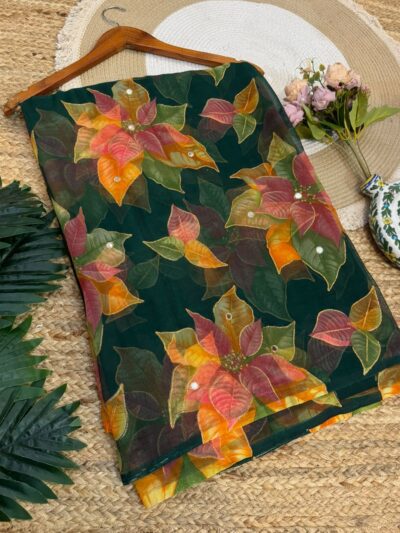 Mirror work saree Brown
