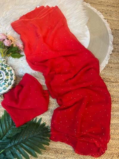 Mukesh work saree Red