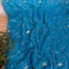 Sequins Jaal work Firozi