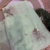 Sequins Buta 11
