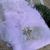 Sequins Buta 13