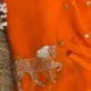 Ashva Orange