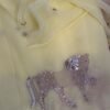 Ashva Yellow