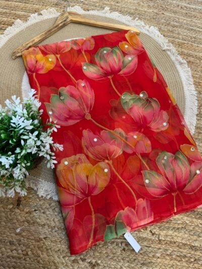 Mirror work saree Red