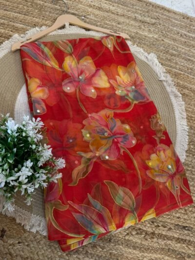 Mirror work saree Red