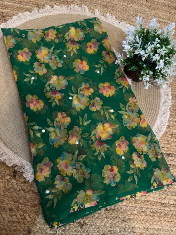 Mirror work saree W