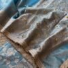 Tissue saree with ghungroo Blue